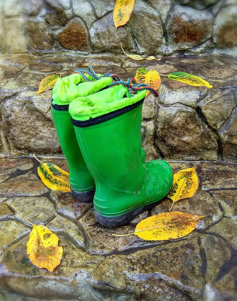 Осень у порога