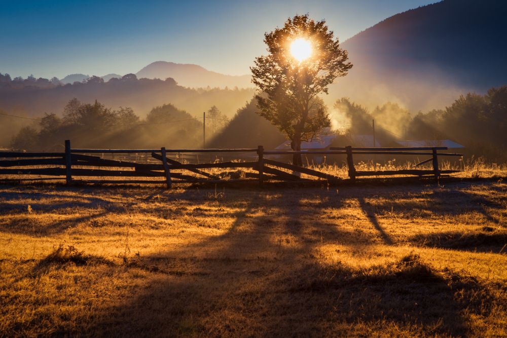 Shadows of a morning...
