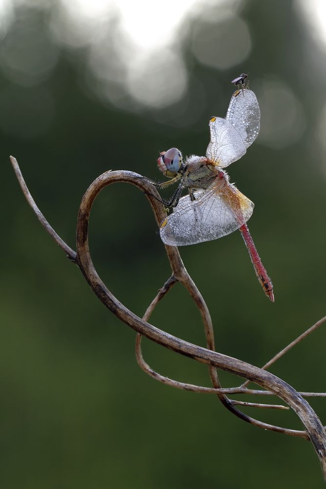 Утро , кто-то еще спит....