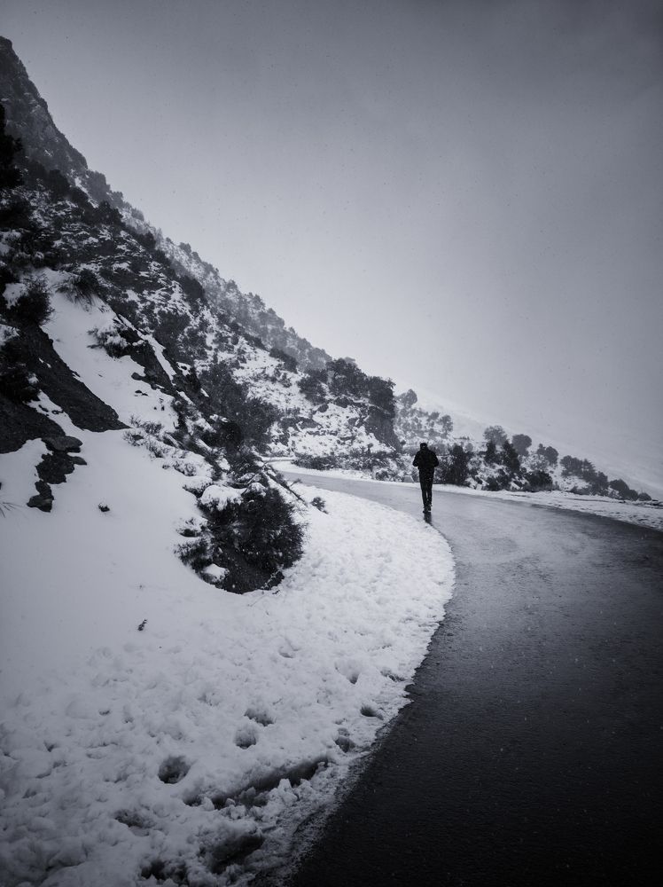 Life road