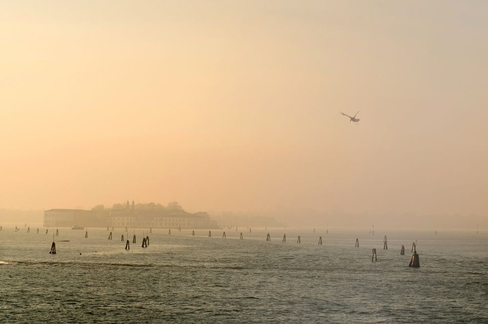 Туманный рассвет