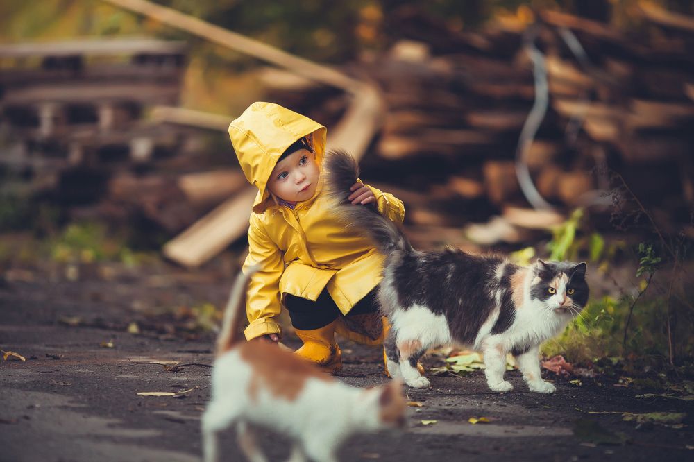 Девочка и хвот