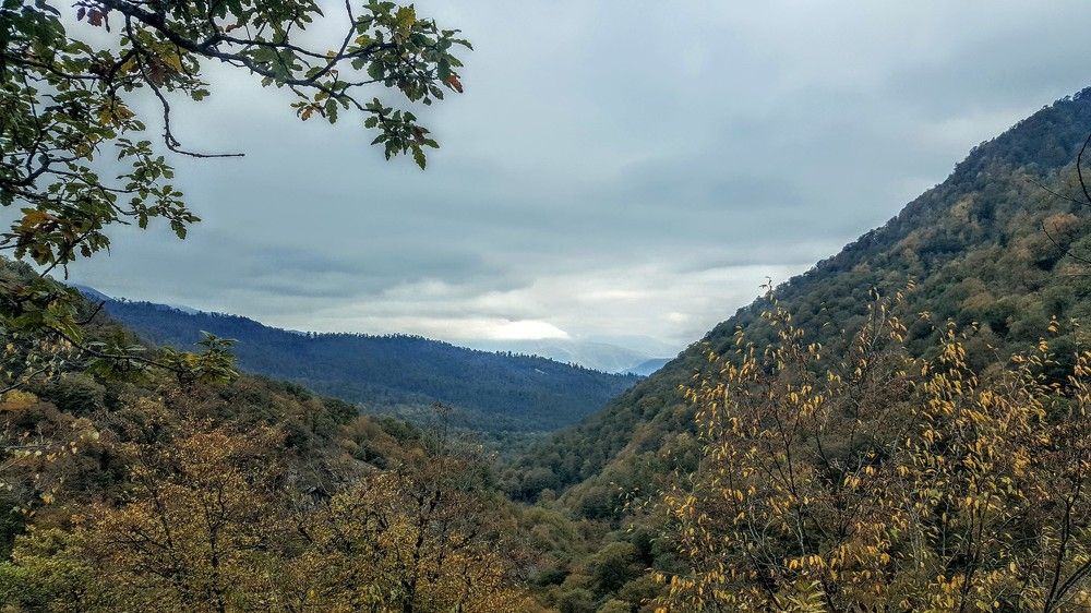 Осень