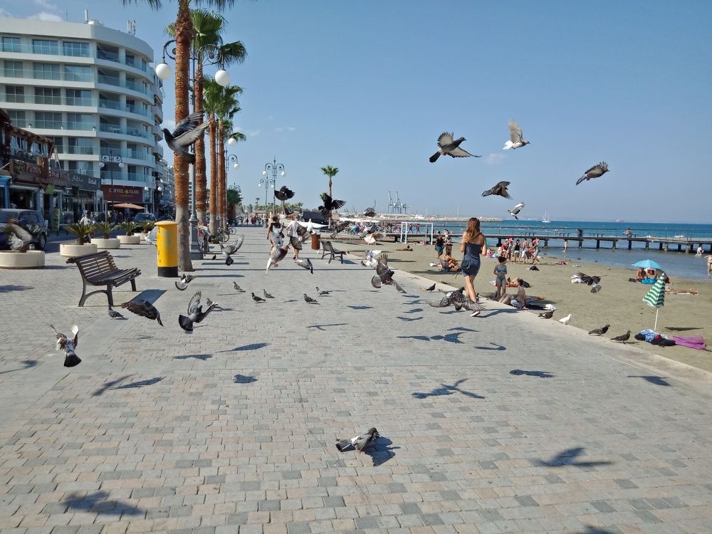 Символ мира