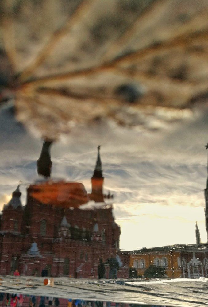 плоды осени