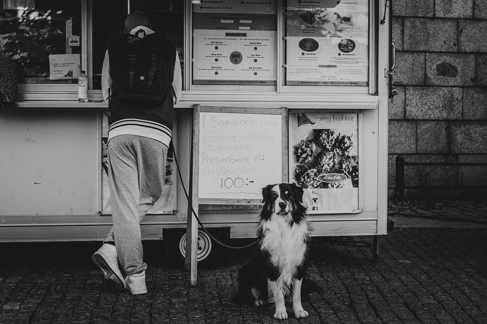 if you want a friend , get a dog