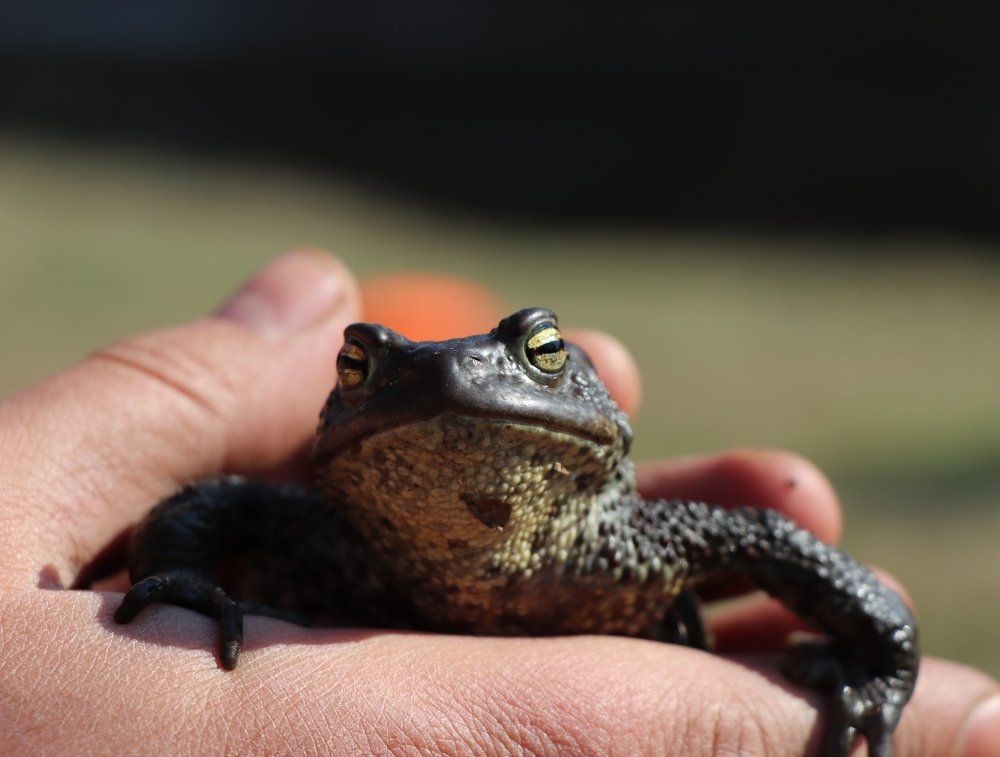 Photograph by Евгения