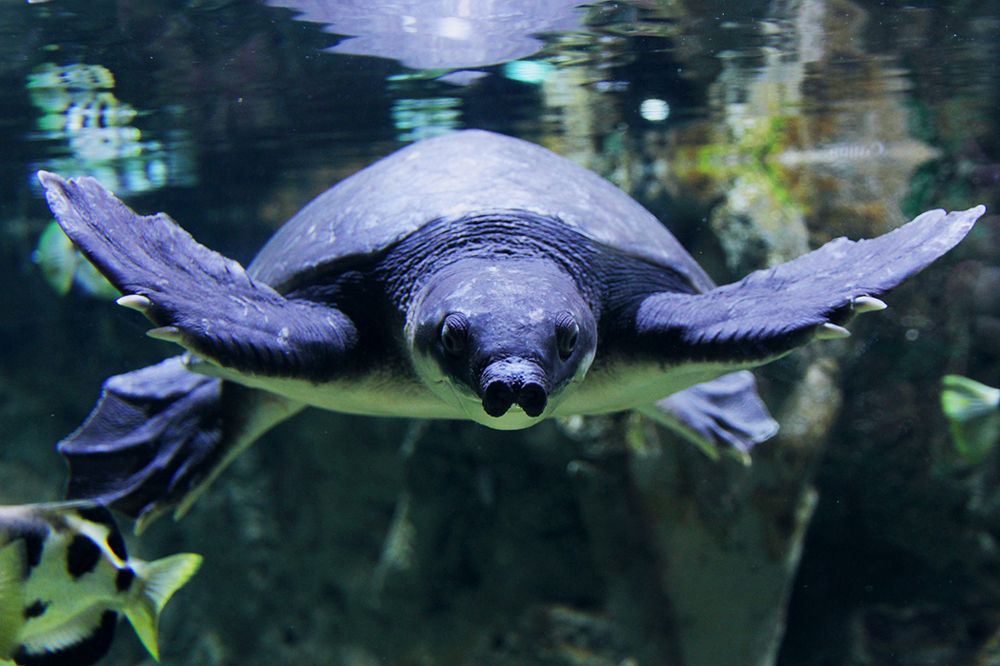 Photograph by Ольга Эркызан