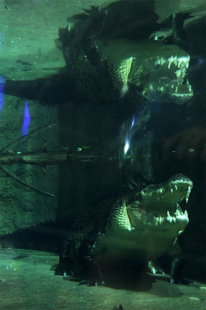 Photograph by Ольга Эркызан