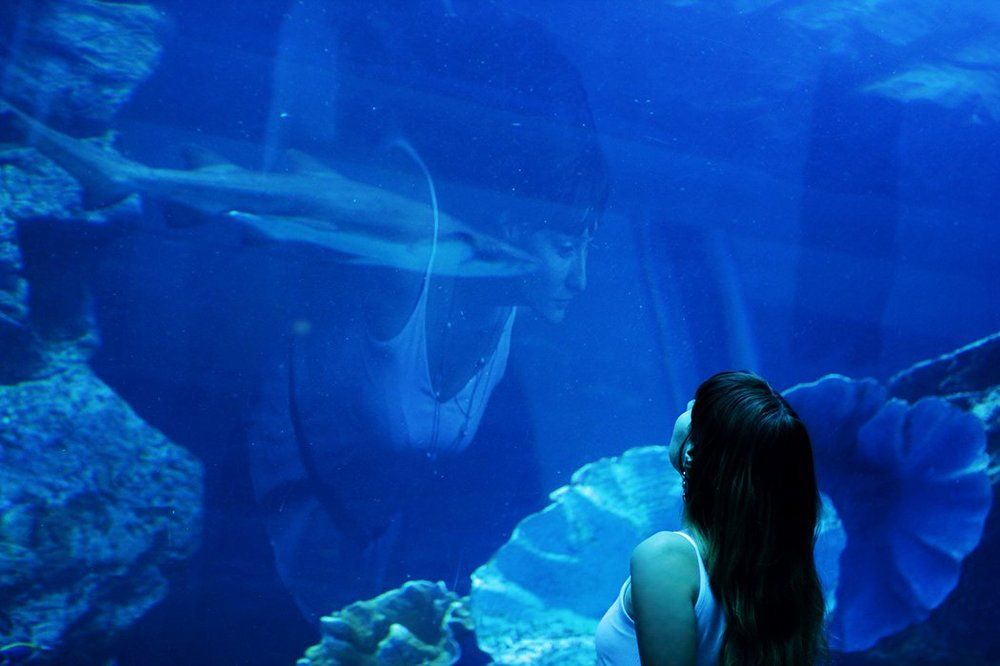 Photograph by Ольга Эркызан