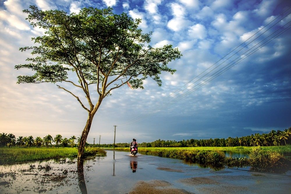 Kerala-God's own country