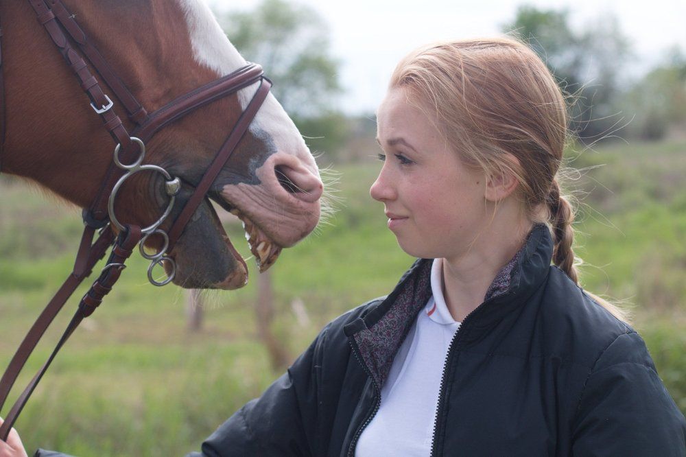 хорошо вдвоём