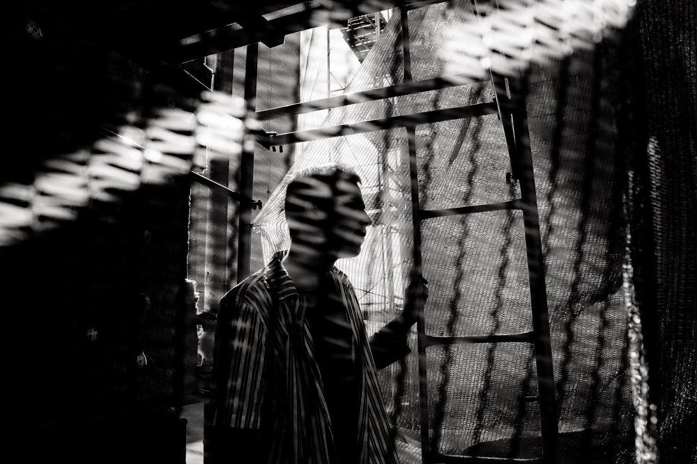 Photograph by Логинова Юлия