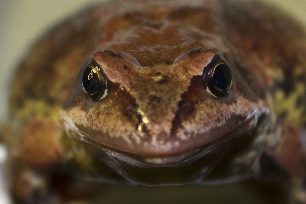 Photograph by Утёмов Сергей