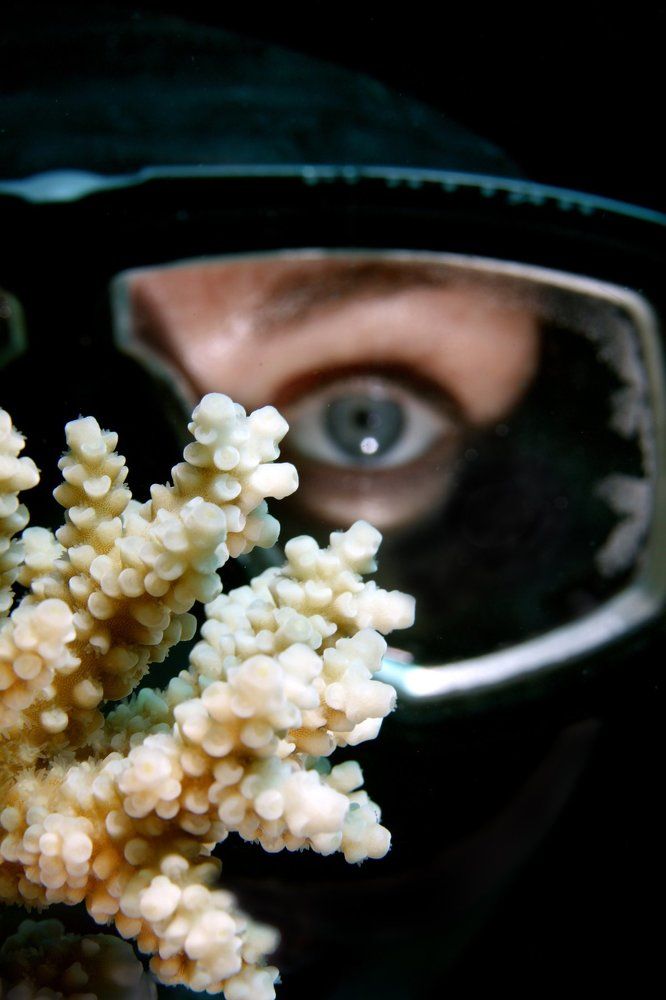 Эти глаза на против