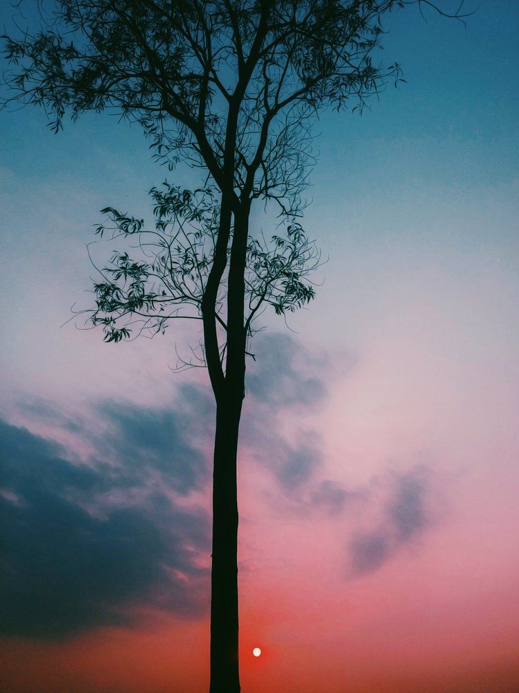 Photograph by Rizve ahmed