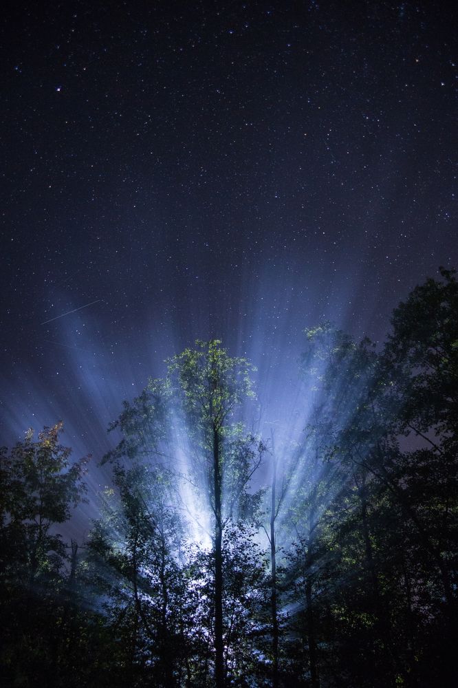 Звёзды, дым и свет