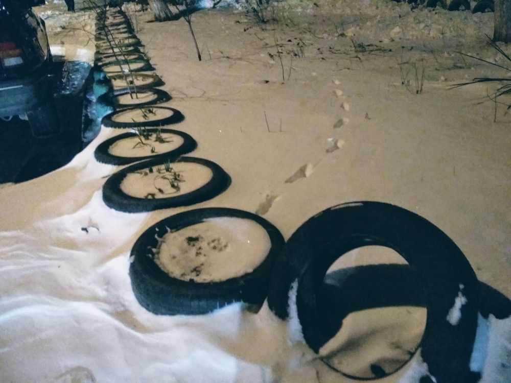 Следы на снегу