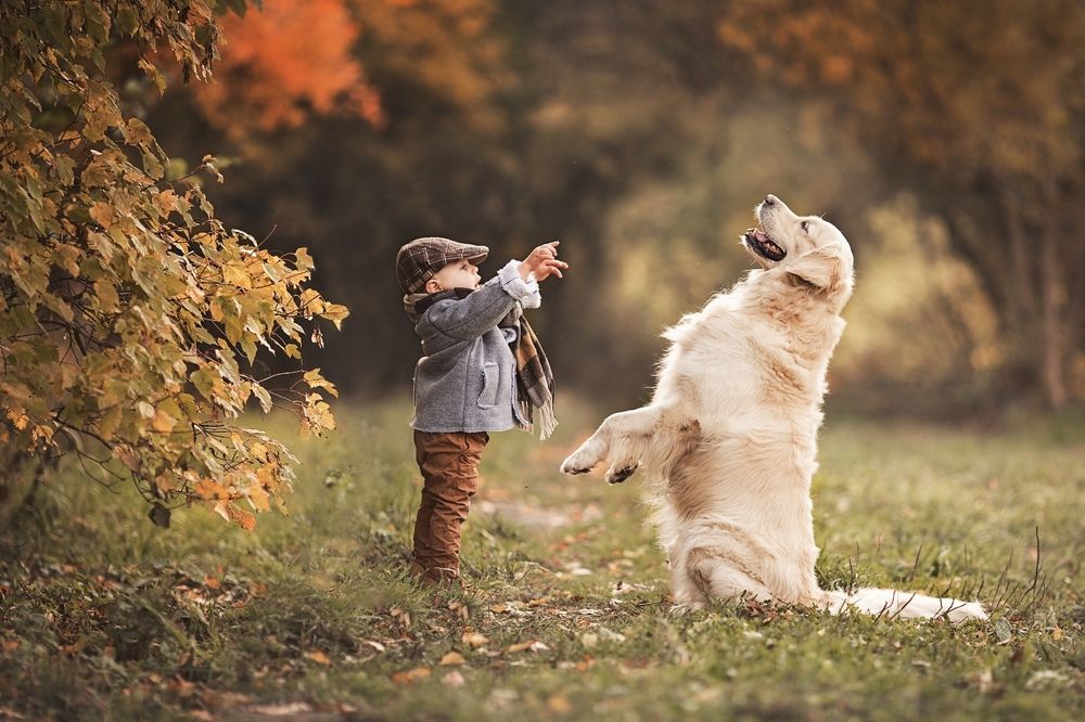 Маленький хозяин