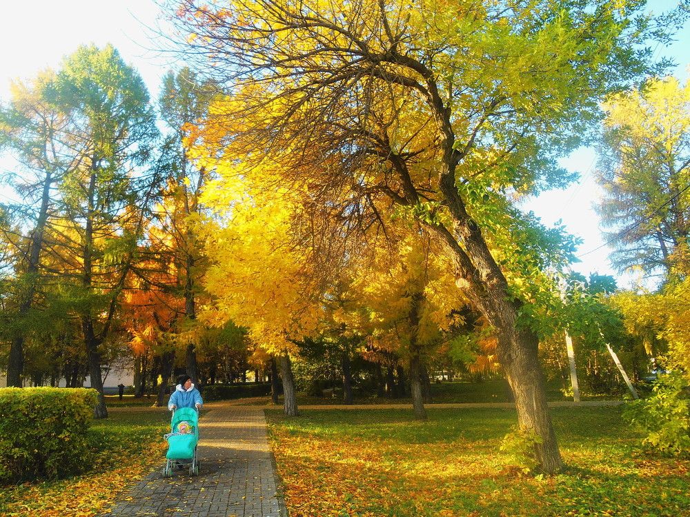 Осенняя прогулка.