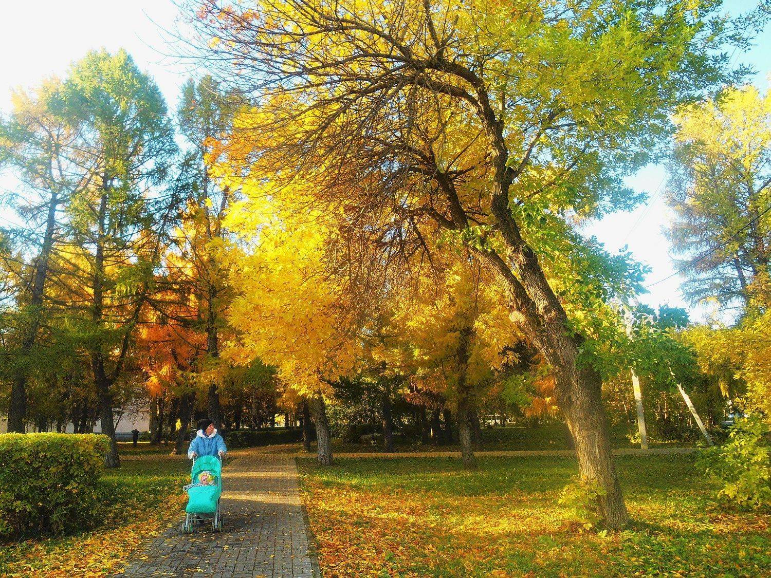 Осень.Прогулка.
