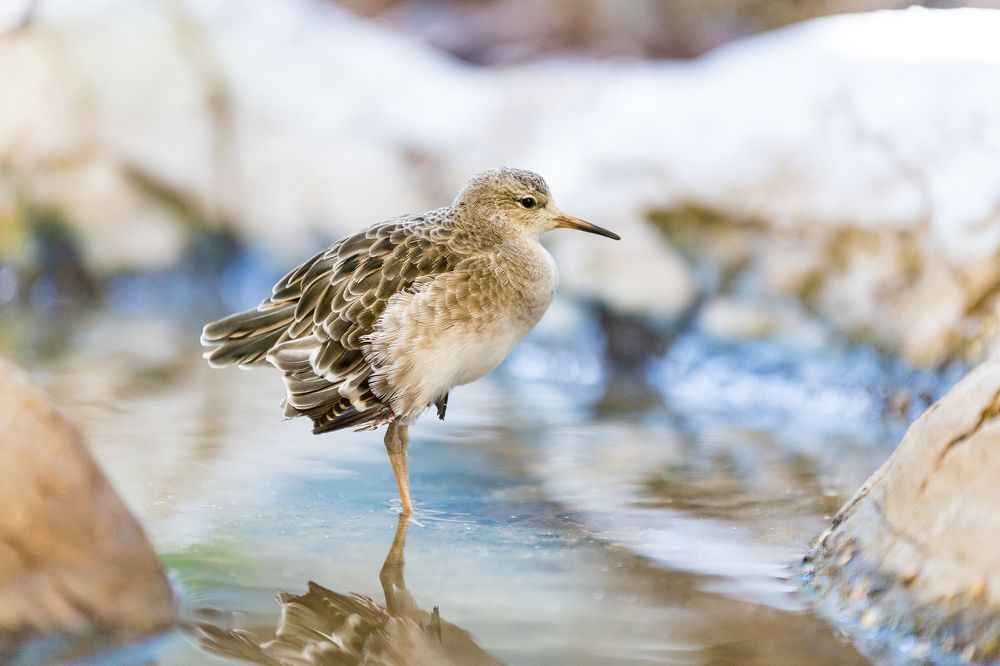 Photograph by Эльчин