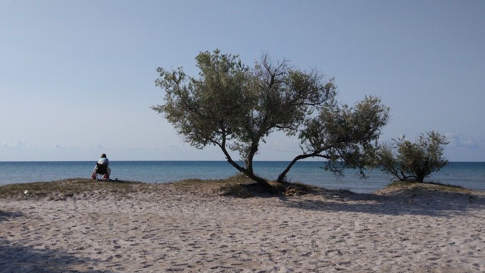 Morning calmness.