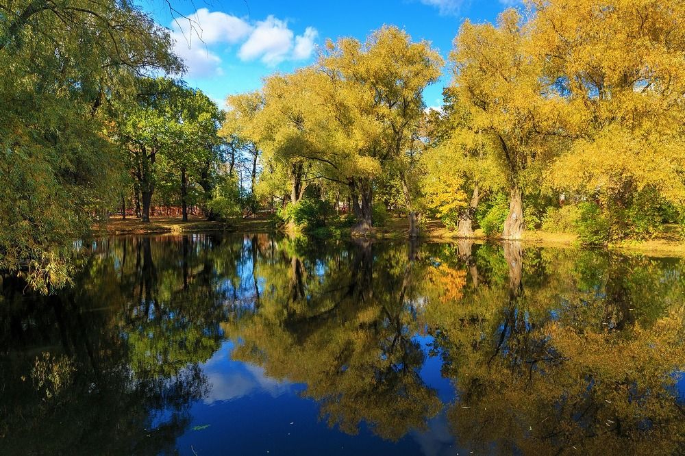 Болдинская осень