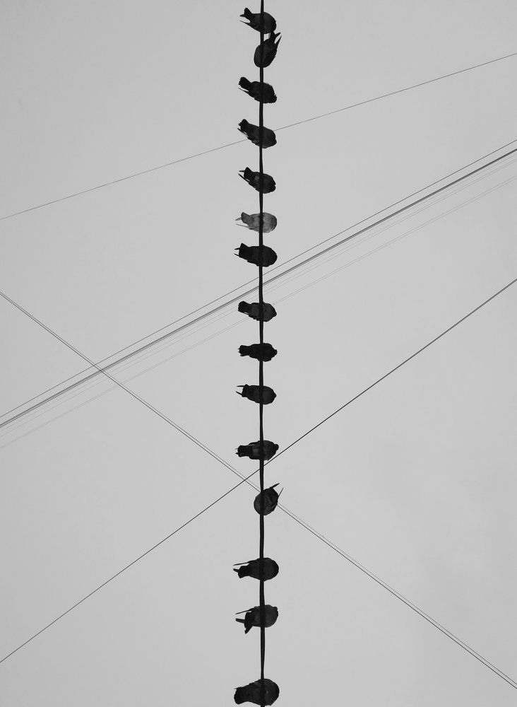 Полоса непроходимости