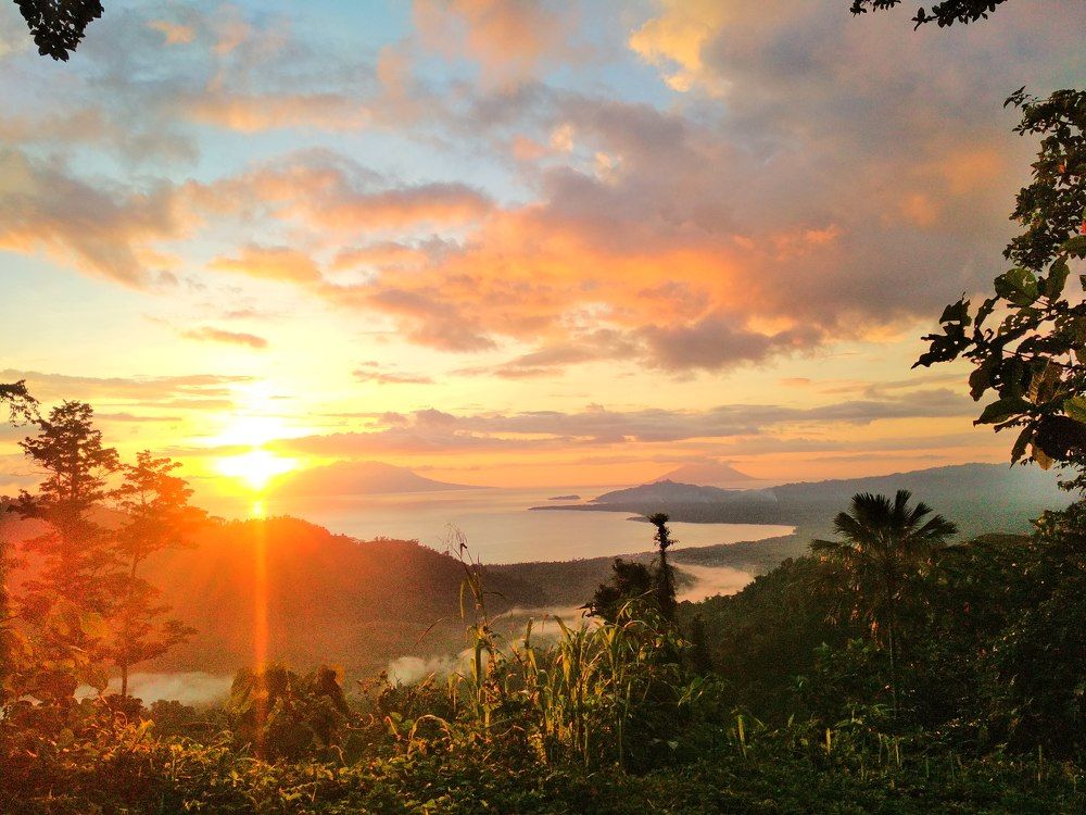 Perfect moment Sunset