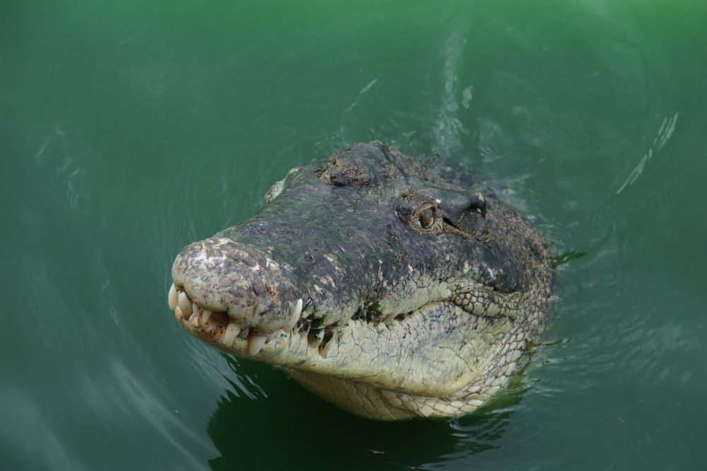 Photograph by Андрей Елькин