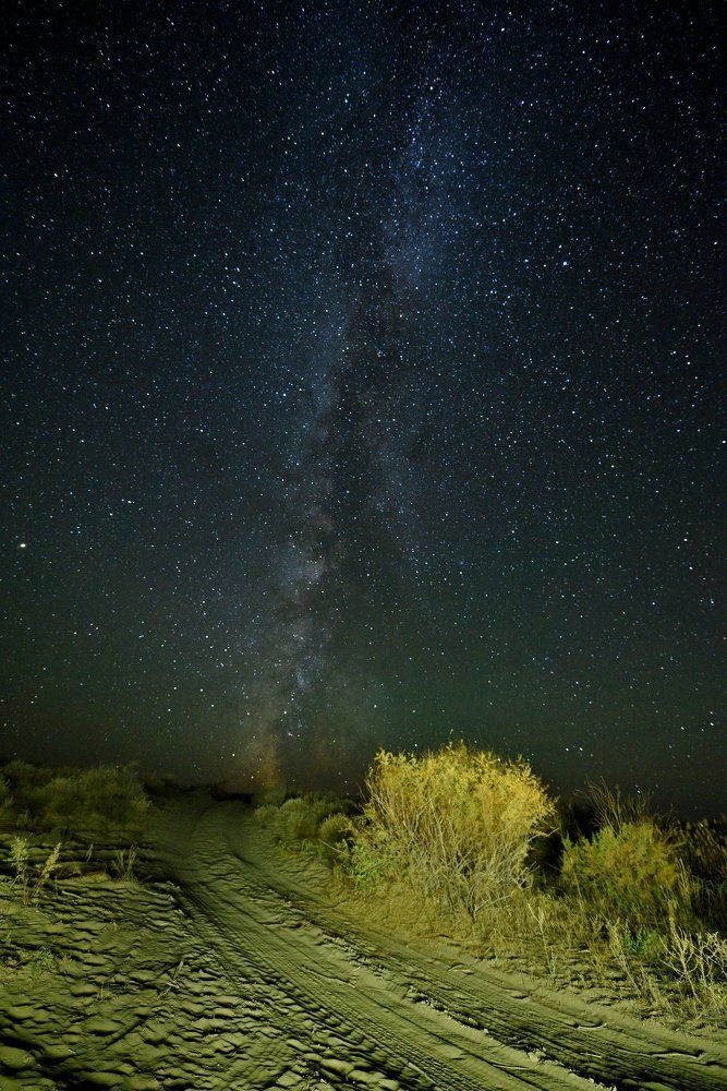 Ночная дорога