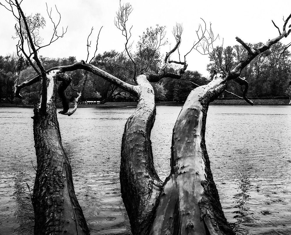 Фотография автора Швыткин Антон