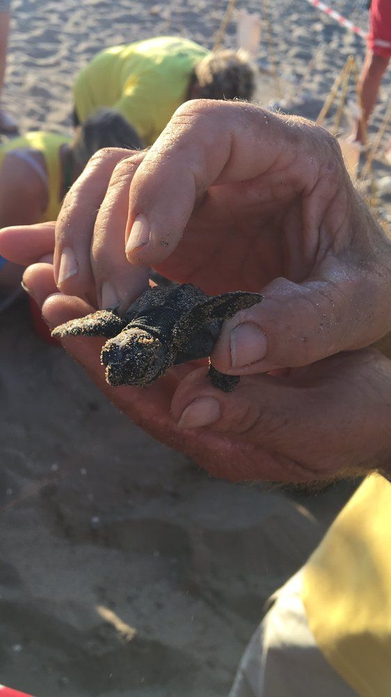 Малыш в руках спасителя!