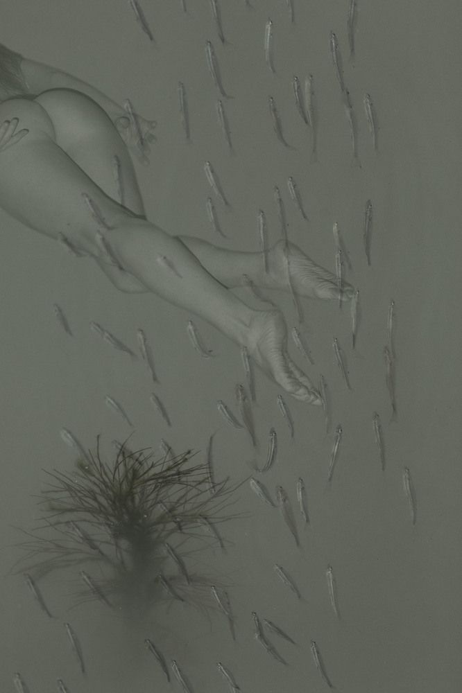 Photograph by Olena Leliuk