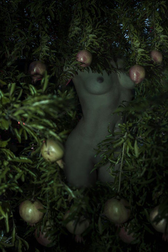 Photograph by Olena Leliuk