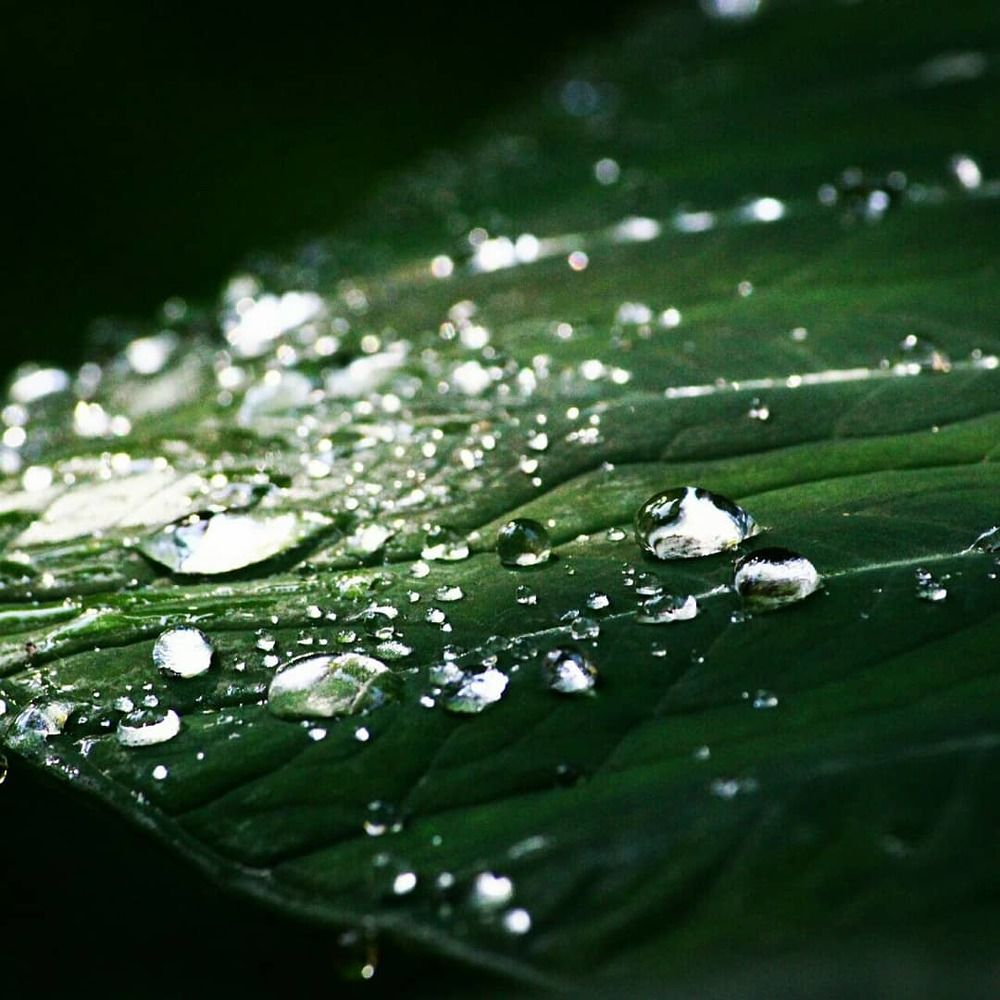 Photograph by Niranjana