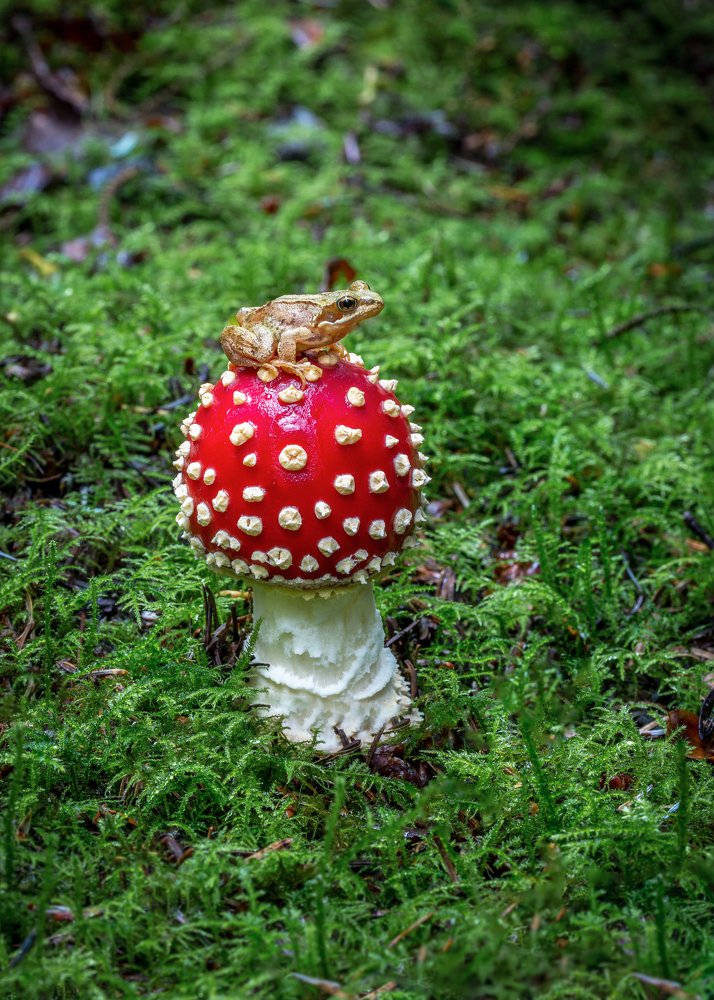 Photograph by Anatoly Chomko