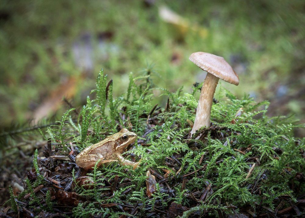 Photograph by Anatoly Chomko