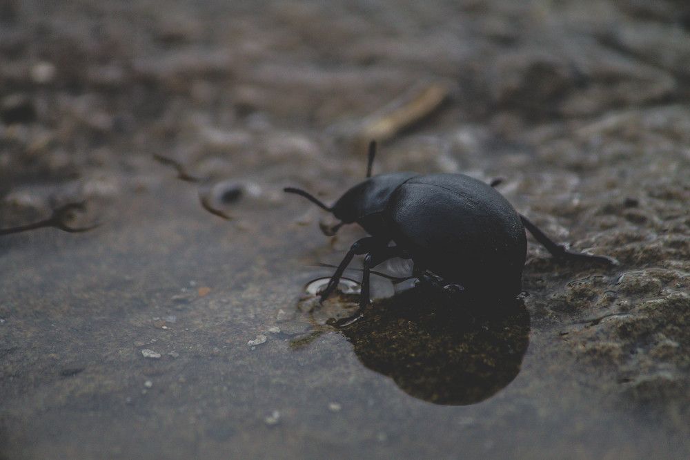Photograph by Валентина Тарасенко