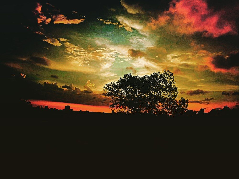 Photograph by Niranjana