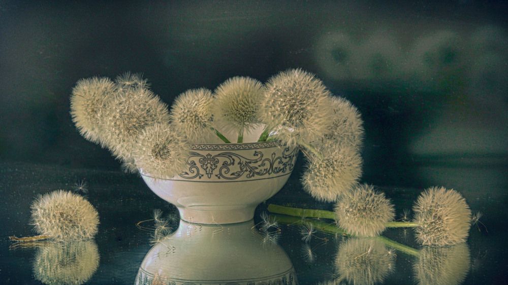 вторая жизнь