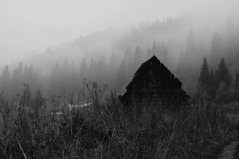 Туманное прошлое