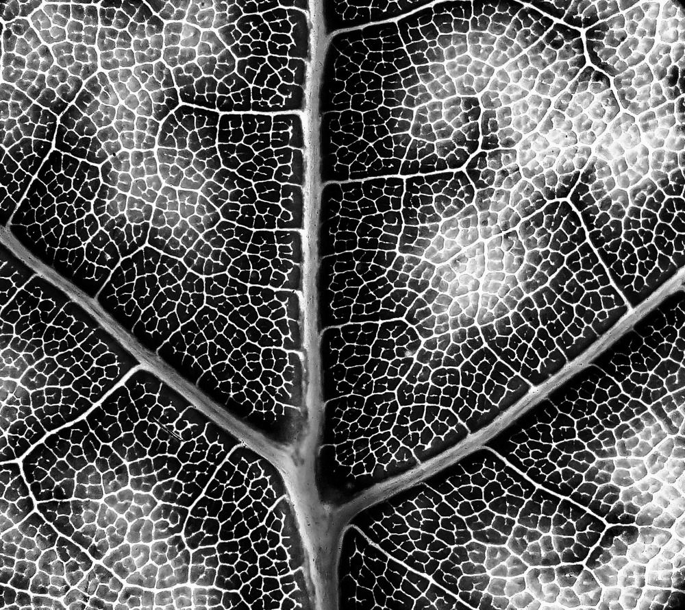 Фотография автора Швыткин Антон