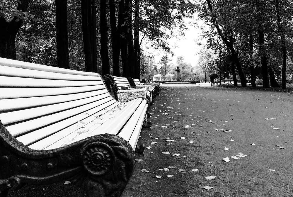 Фотография автора Швыткин Антон