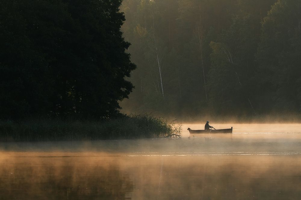 Сквозь пелену тумана