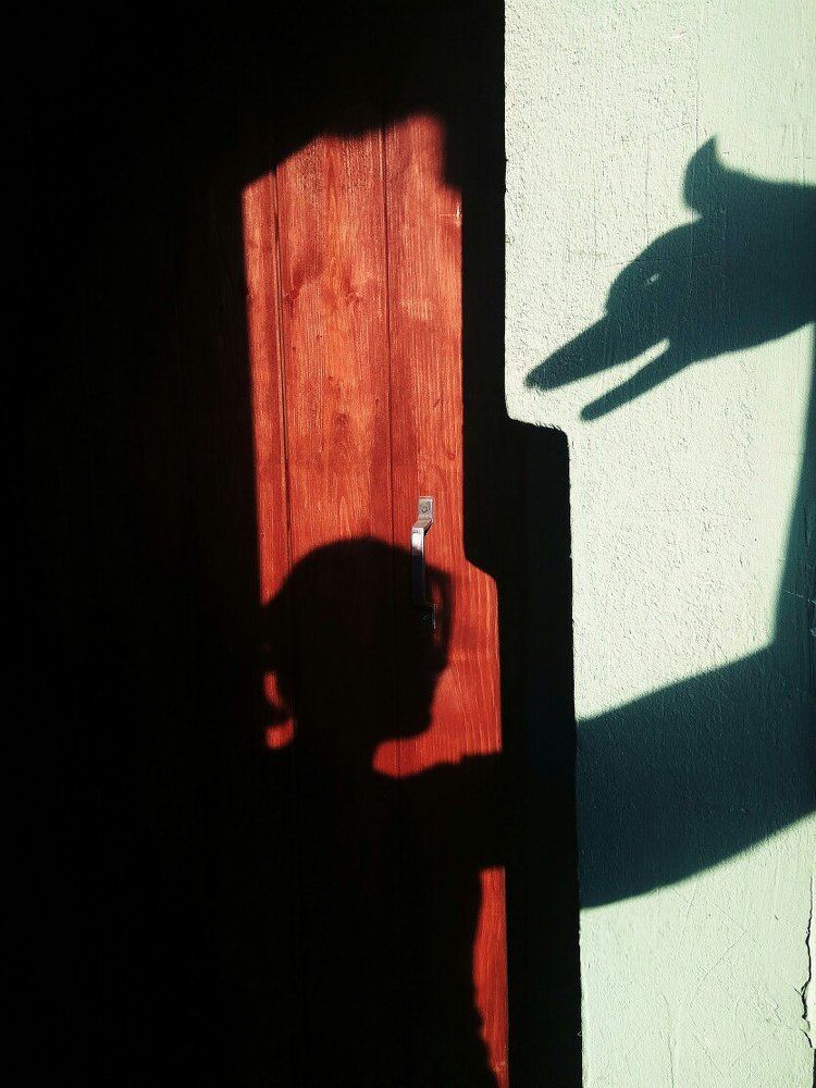 Photograph by Логинова Юлия