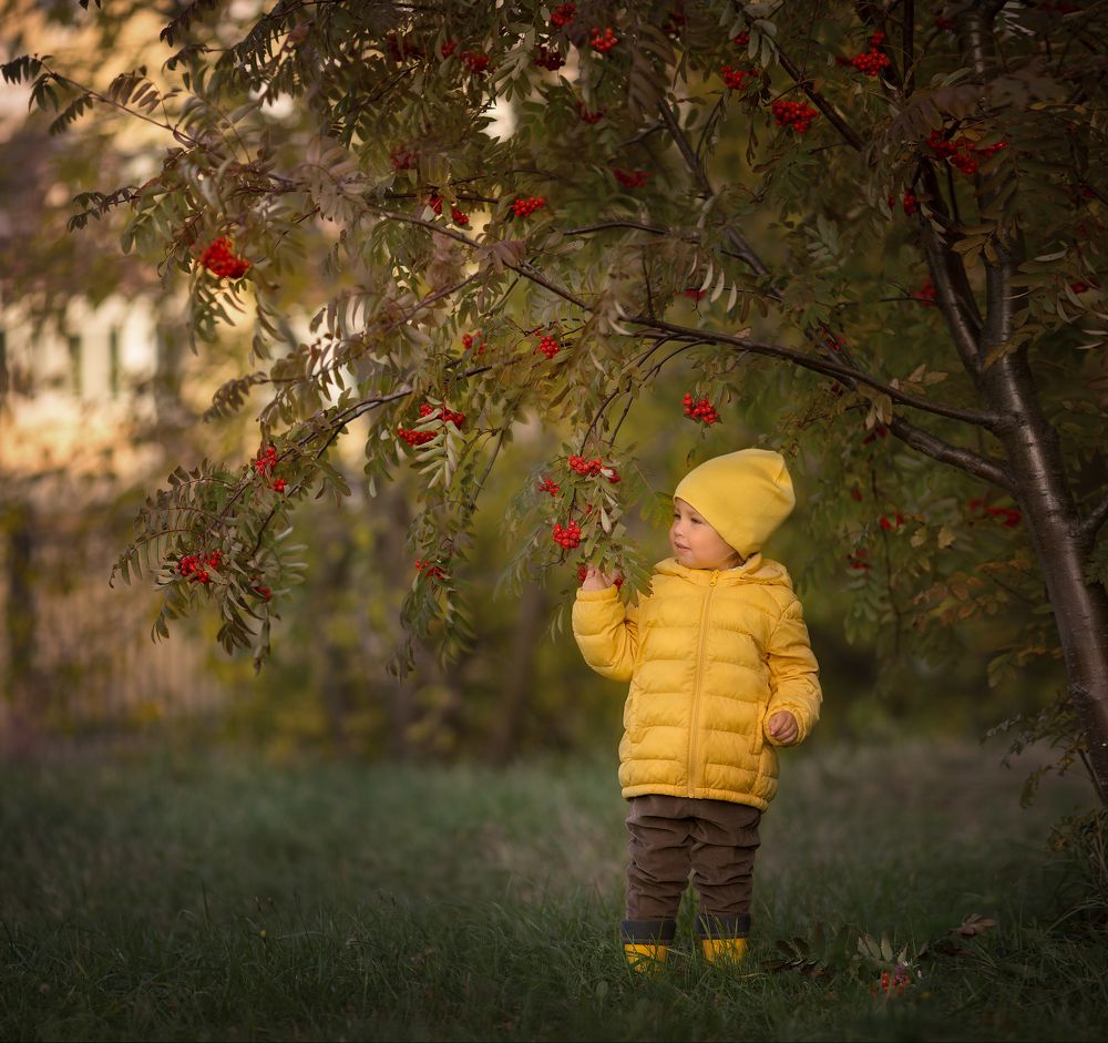 Photograph by Людмила Казакова