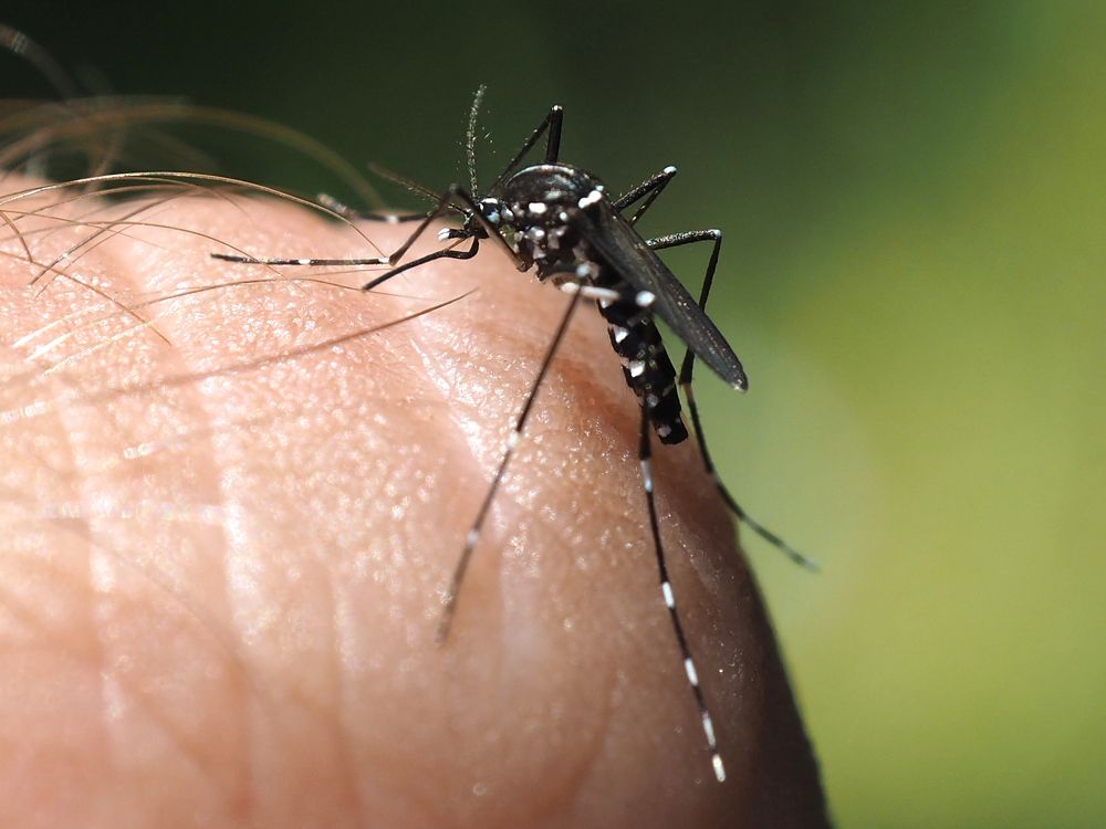 Платная фотомодель