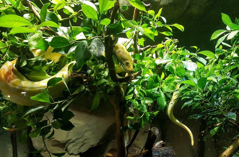 Photograph by Юлия